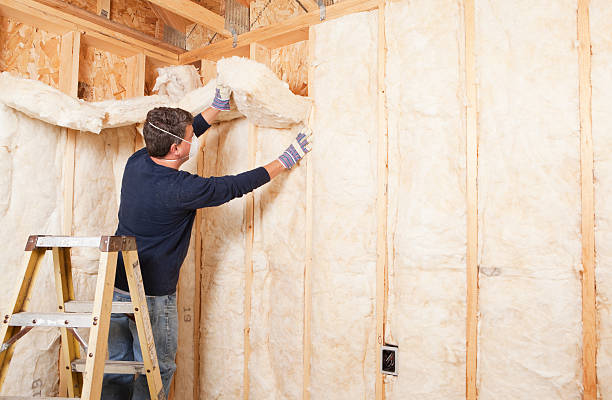 Best Batt and Roll Insulation  in Seco Mines, TX